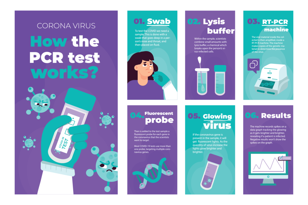 PCR testing how it works step-by-step